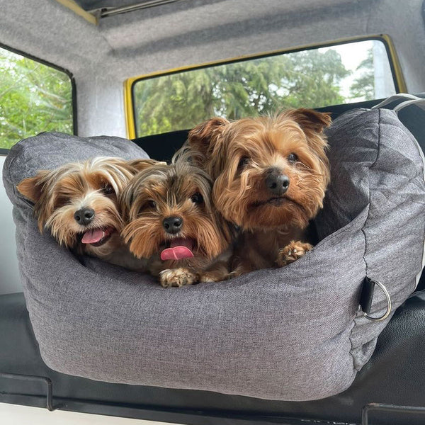 First Class Dog Car Seat Bed