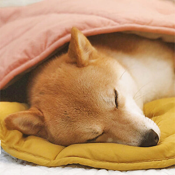 Leaf-Shaped Dog Blanket