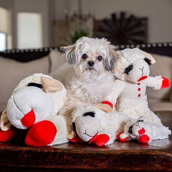 Lamb Plush Interactive Dog Toy