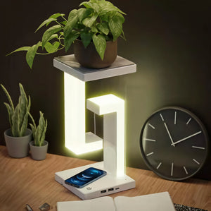 Creative Balance Lamp