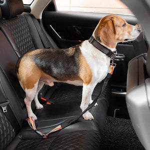 Colorful Adjustable Dog Car Seat Belt