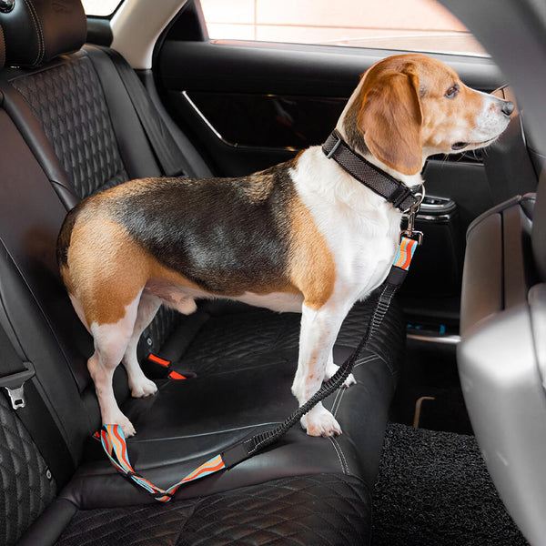 Colorful Adjustable Dog Car Seat Belt