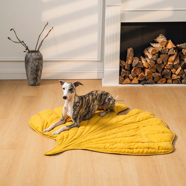 Leaf-Shaped Dog Blanket