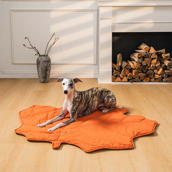 Leaf-Shaped Dog Blanket