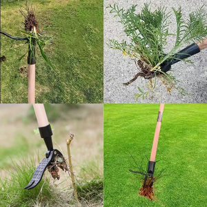 Professional Revolutionary Weeding Tool