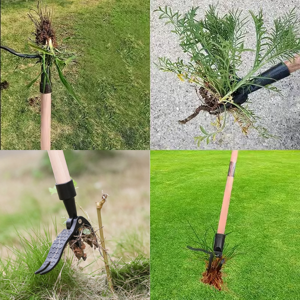 Professional Revolutionary Weeding Tool