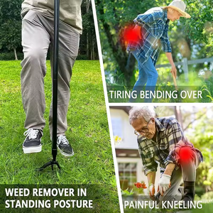 Professional Revolutionary Weeding Tool