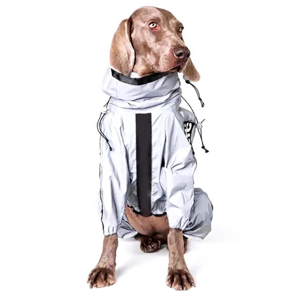 Waterproof Reflective Dog Rain and Snow Coat