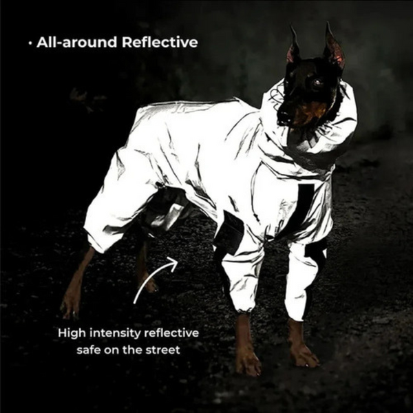 Waterproof Reflective Dog Rain and Snow Coat