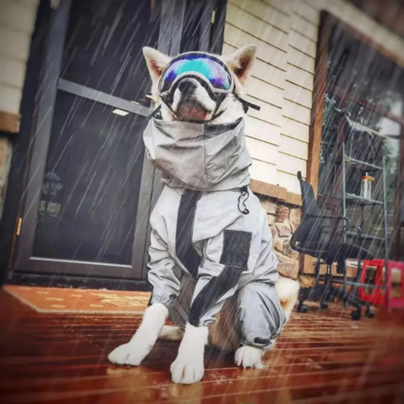 Waterproof Reflective Dog Rain and Snow Coat