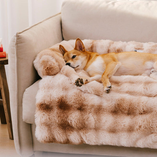 Fluffy Calming Dog Bed Sofa