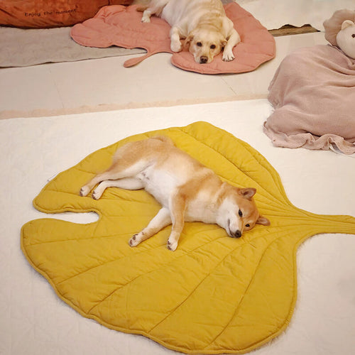 Leaf-Shaped Dog Blanket