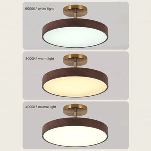 LED Semi-Flush Ceiling Light with Wood Accent