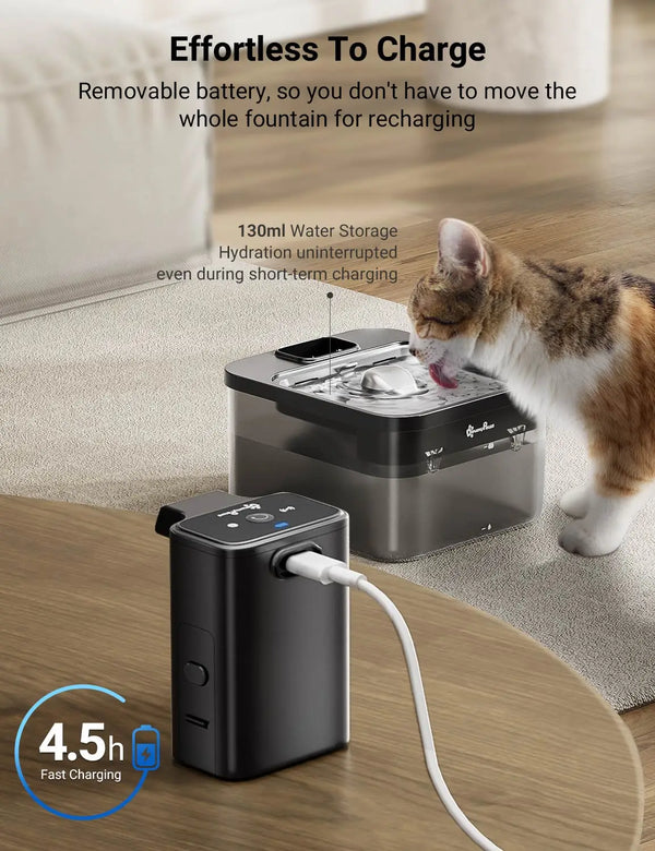 Automatic Stainless Steel Cat Water Fountain – 2.5L