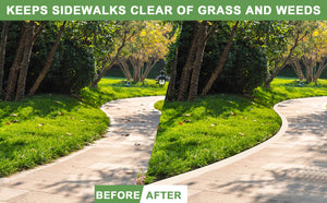 Efficient Pro Rotary Lawn Edger