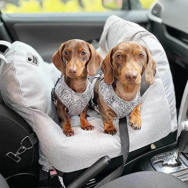 First Class Dog Car Seat Bed