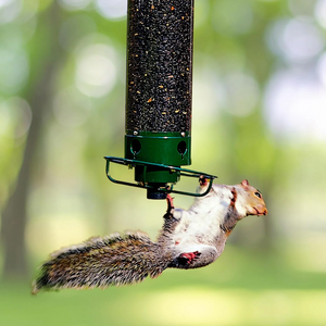 Outdoor Hanging Bird Feeder – Squirrel-Resistant Design