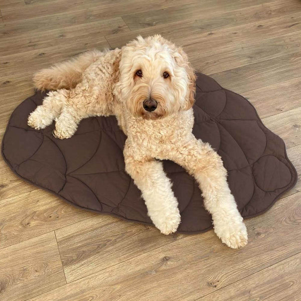 Leaf-Shaped Dog Blanket