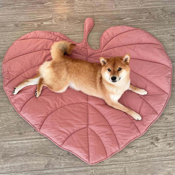 Leaf-Shaped Dog Blanket