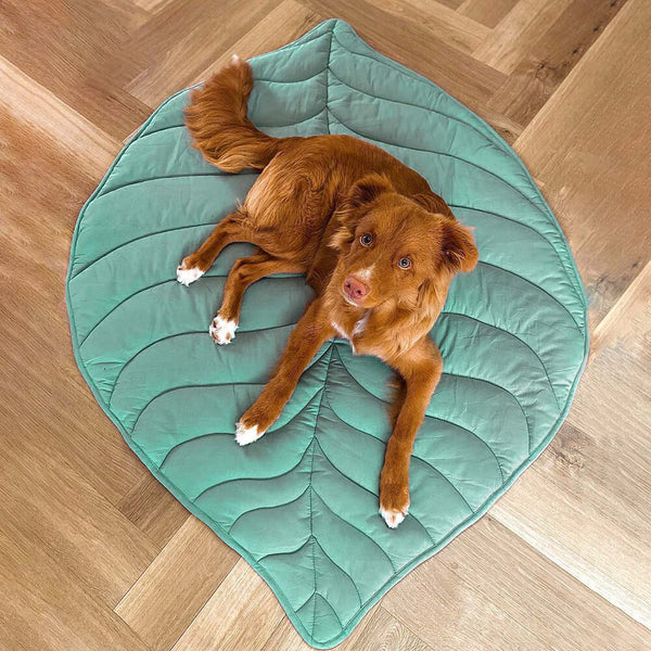 Leaf-Shaped Dog Blanket