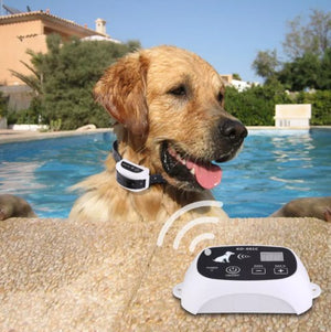 Invisible Wireless Dog Fence Collar – Waterproof